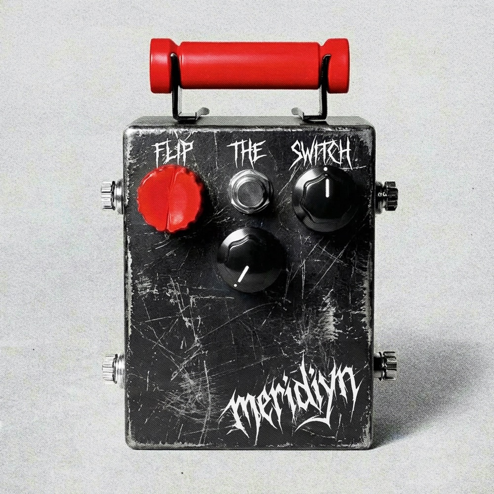 Flip the Switch cover art