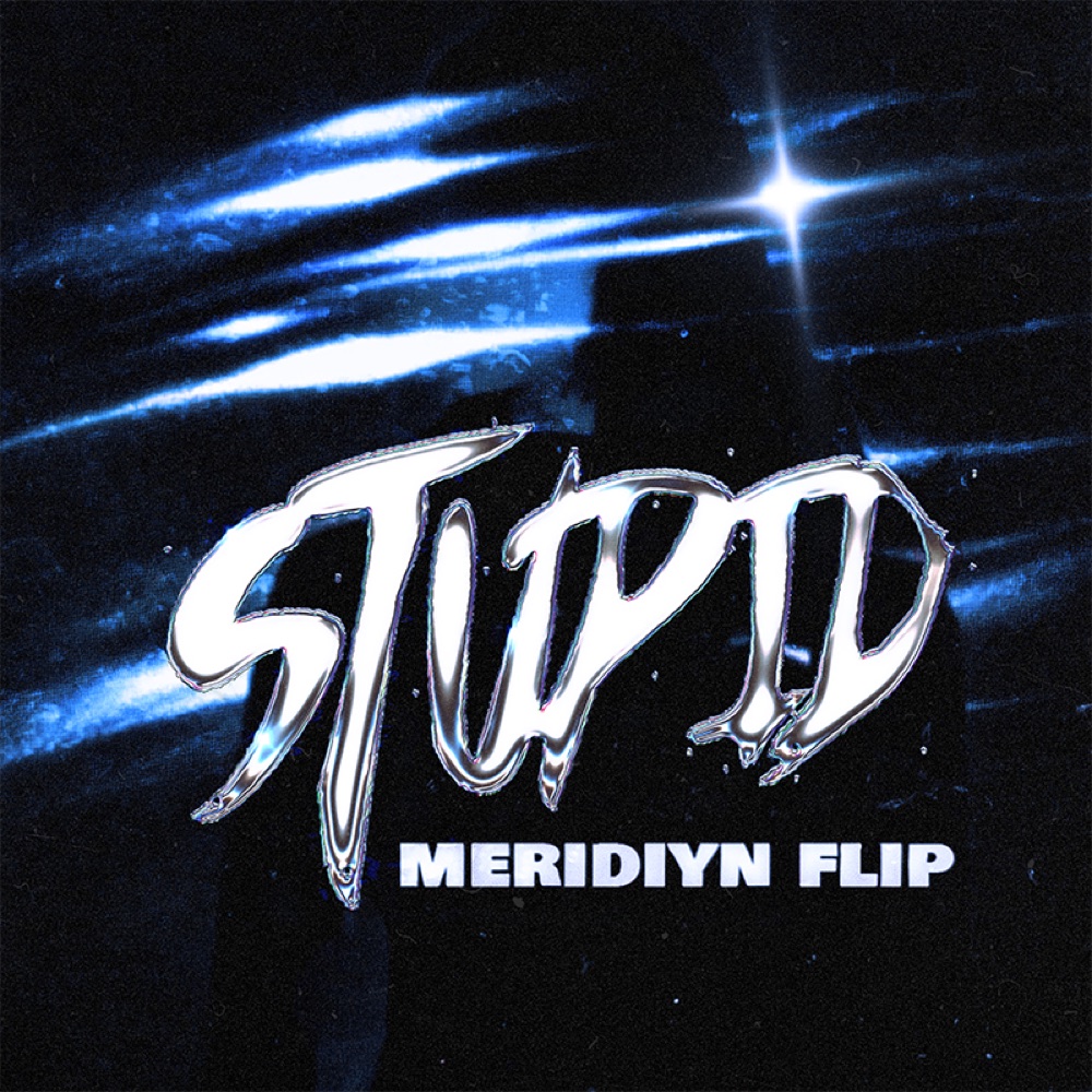 Stupid Meridiyn flip cover art